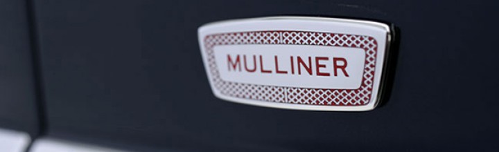 Car Emblems for Branding Limo Service Company